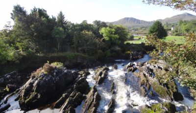 sneem