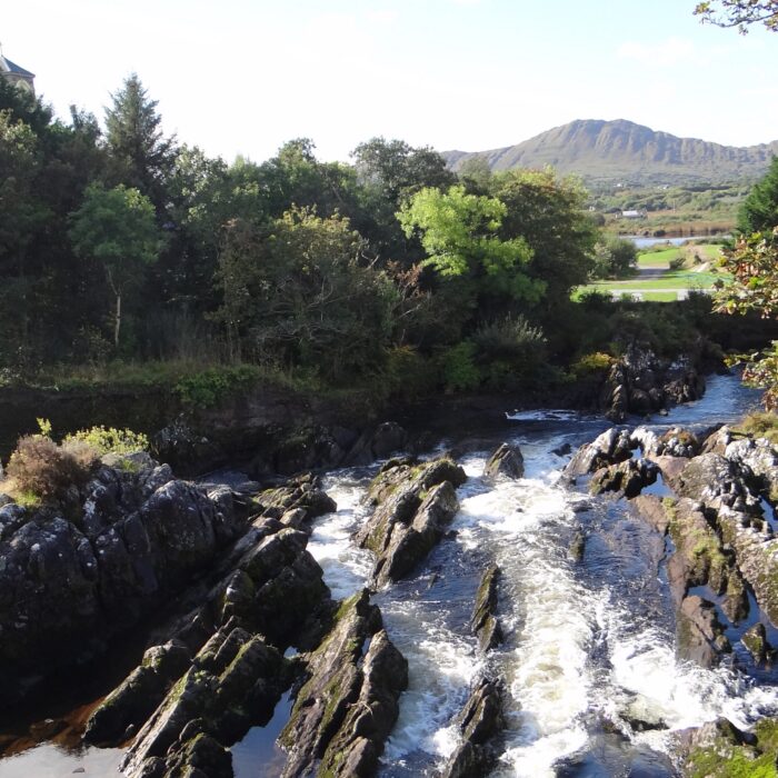 sneem