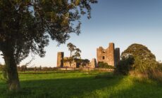 Bective abbey - © Rubende Antonio