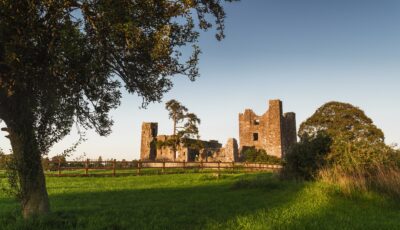 Bective abbey - © Rubende Antonio