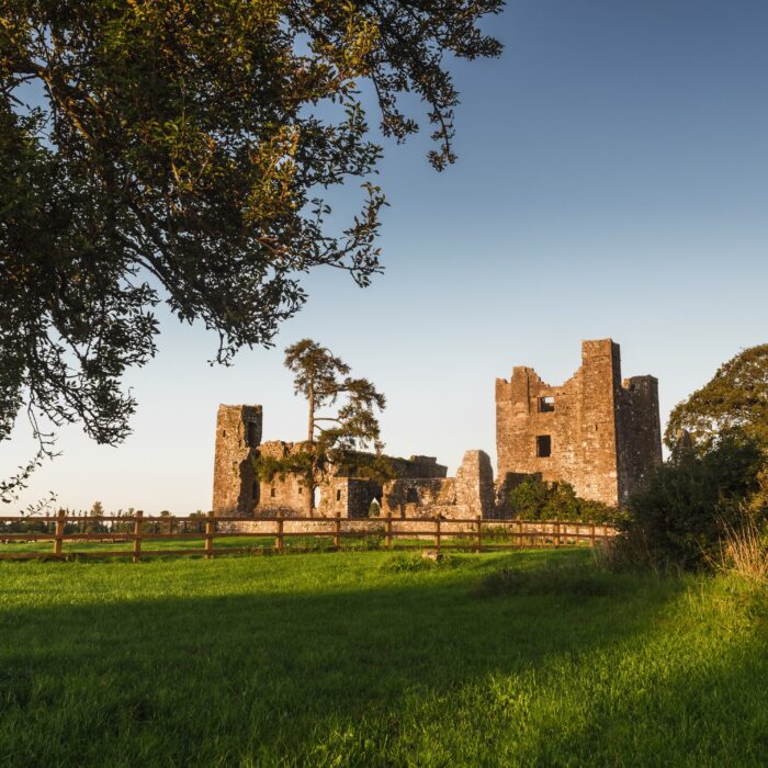Bective abbey - © Rubende Antonio