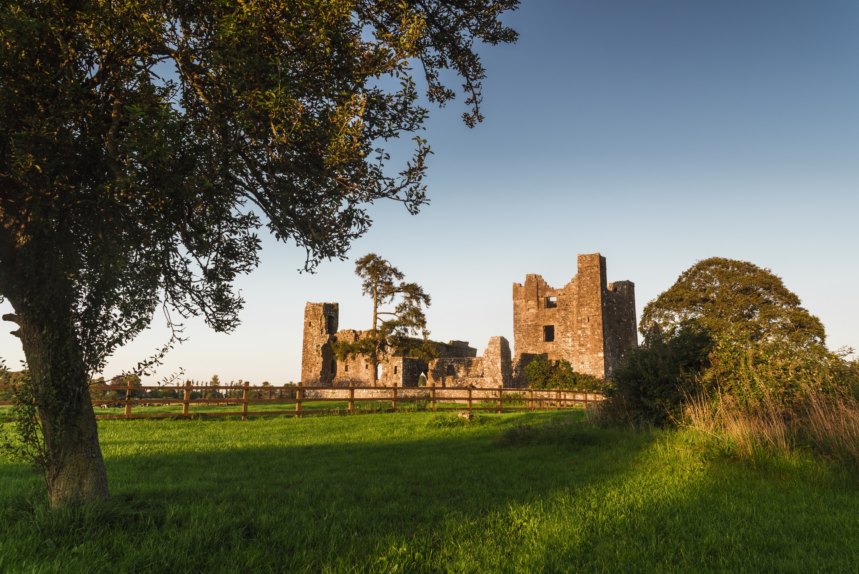 Bective abbey - © Rubende Antonio