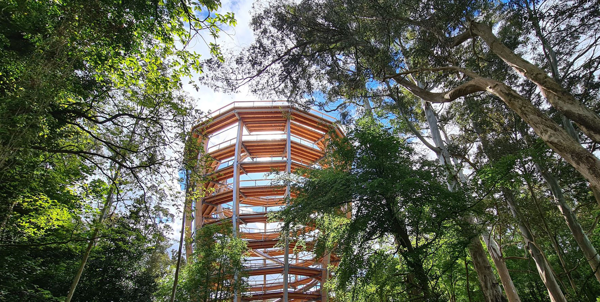 Beyond the trees Avondale - https://www.beyondthetreesavondale.com