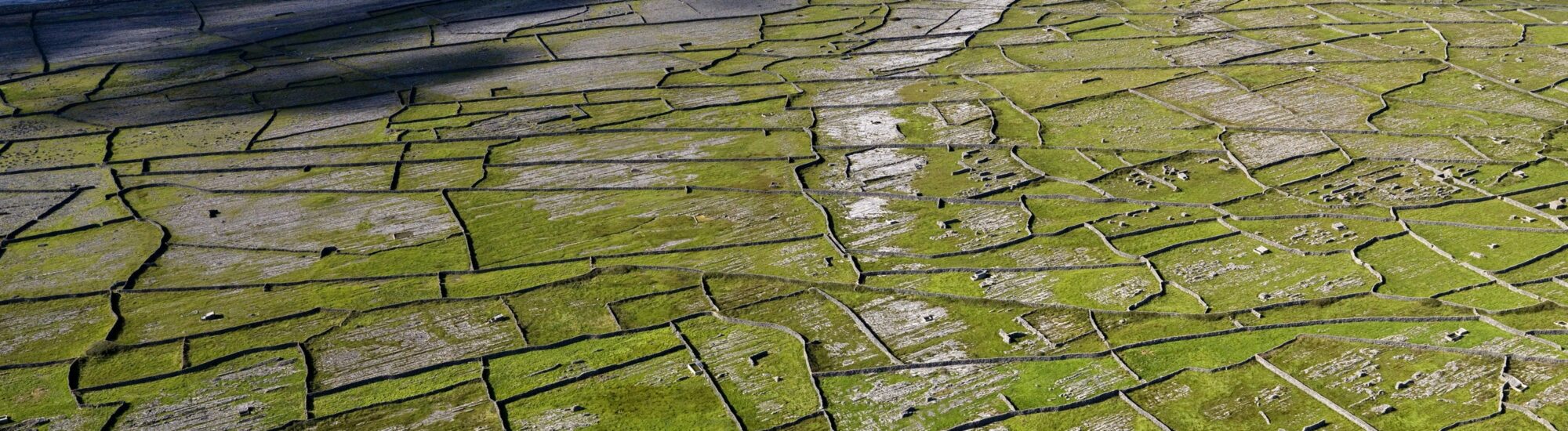 Ecology in Ireland