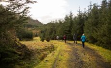 letterkeen loop trail head