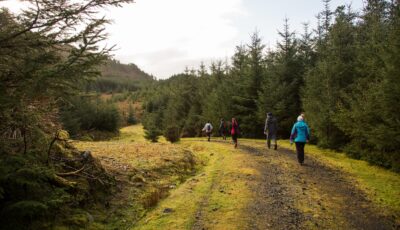 letterkeen loop trail head