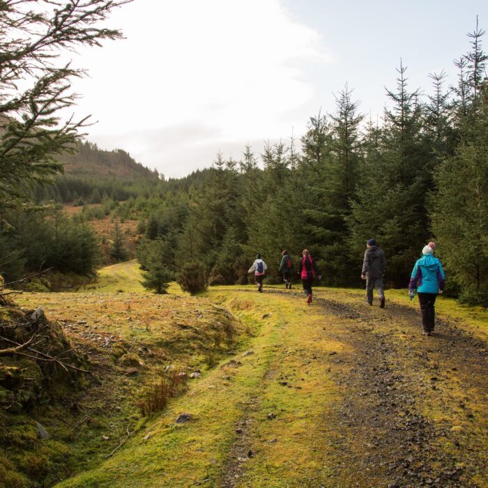 letterkeen loop trail head