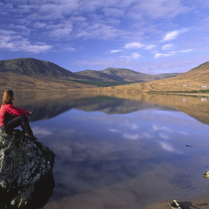 nephin beg