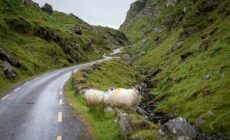 ballaghbeama gap
