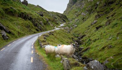 ballaghbeama gap