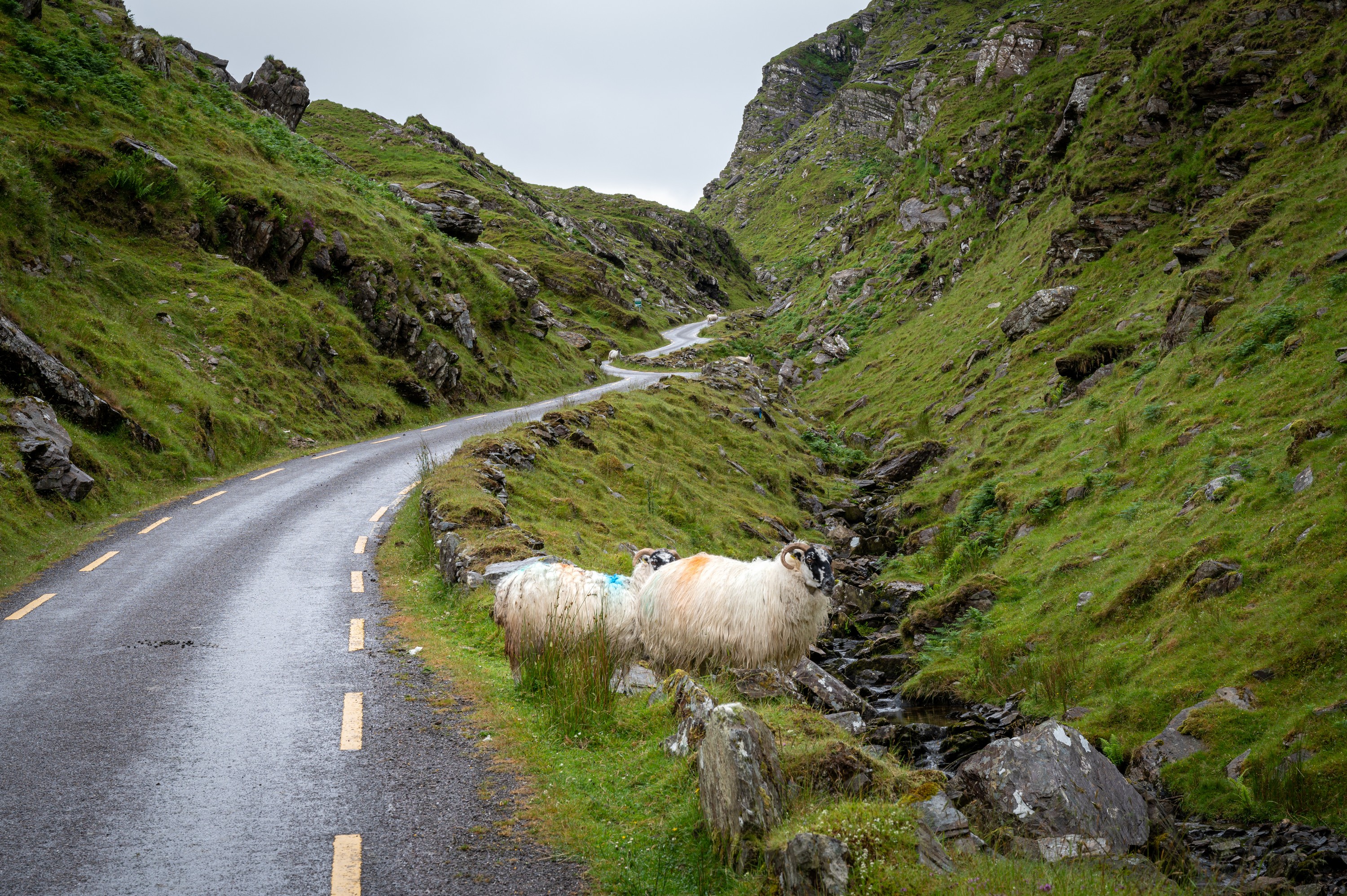 Le Ballaghbeama Gap - © Shawn