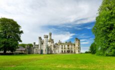 Duckett's Grove - © MNStudio