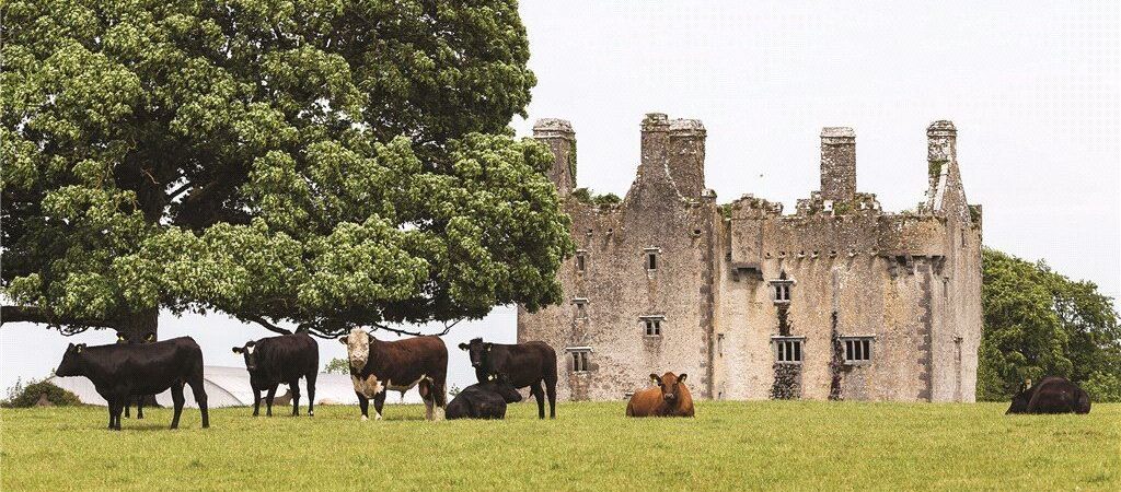A 16th-century Irish castle on sale for over 8 million euros!