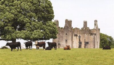 killaleigh castle