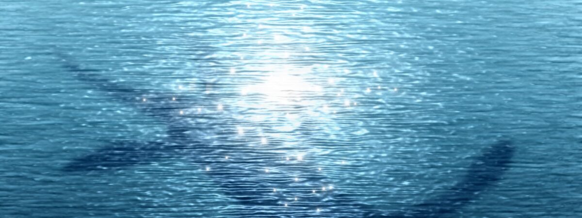 Le monstre du Loch Ness irlandais alimente bien des théories - © lubomira08 