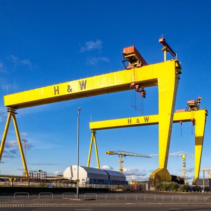 samson goliath cranes
