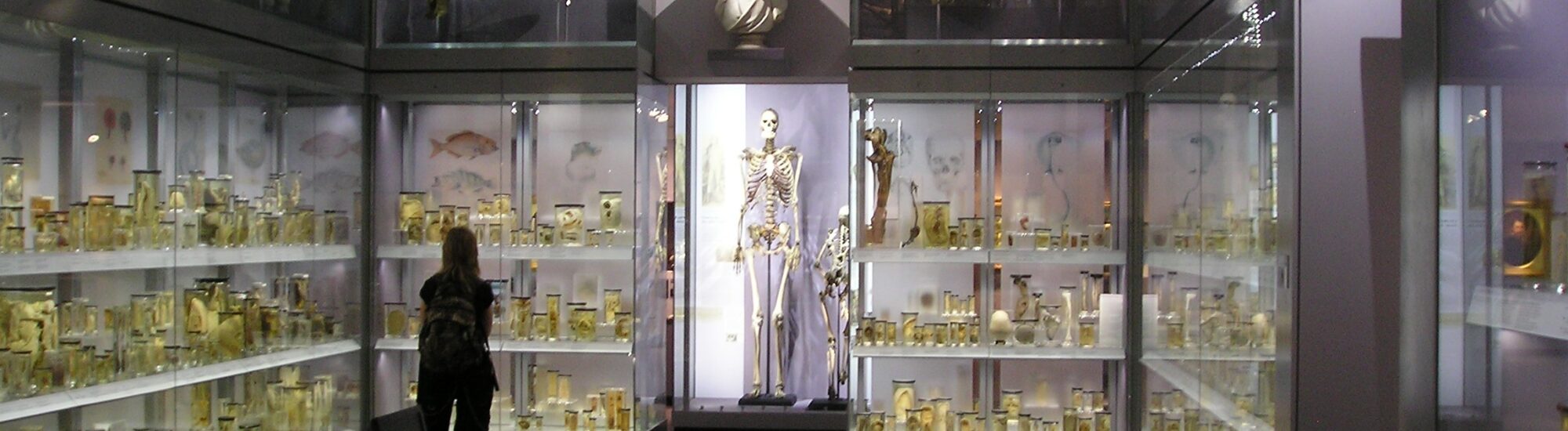 Charles Byrne, the Irish giant