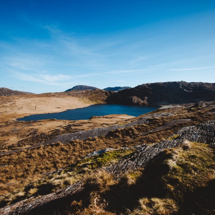 barley lake
