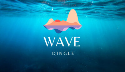 wave dingle