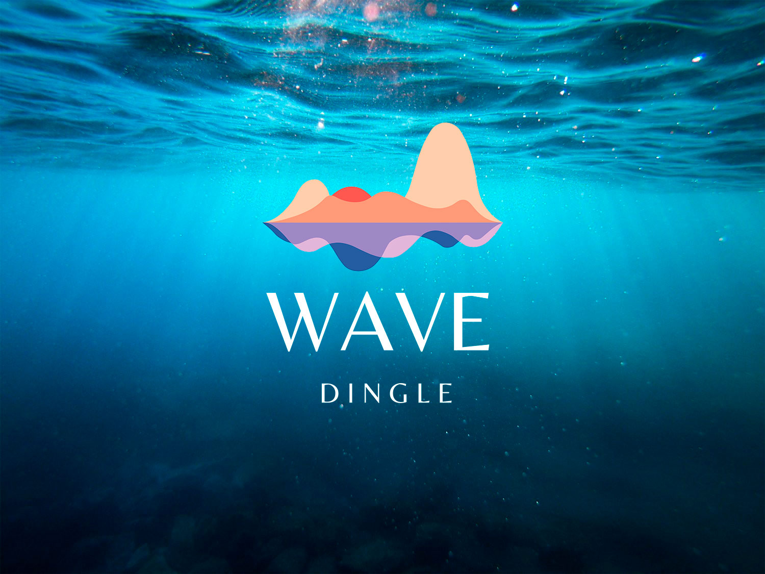 WAVE Dingle
