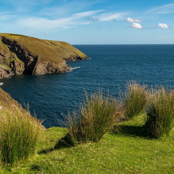 Erris Head Loop Head -  teddiviscious