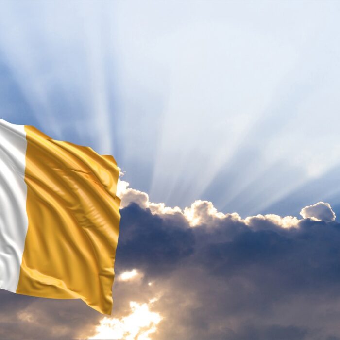 Drapeau de l'Irlande - viperagp
