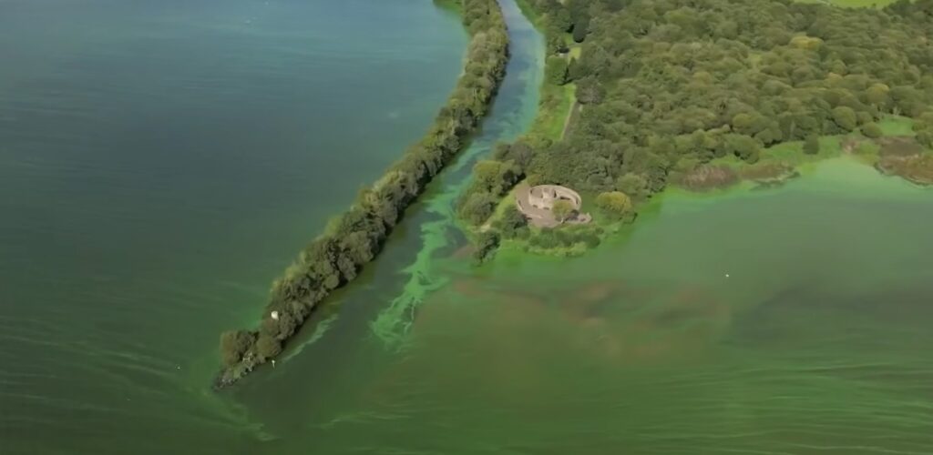 Le Lough Neagh, contaminé à l'algue bleue