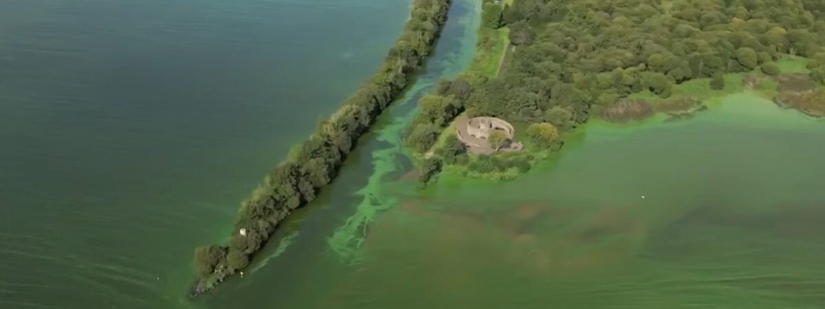 Climate shock: Lough Neagh, Ireland’s largest lake, at risk