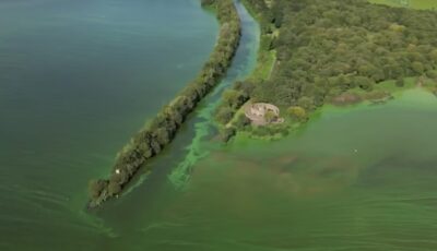 Le Lough Neagh, contaminé à l'algue bleue