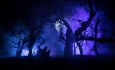 How do you pronounce the word Samhain? - zef art