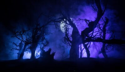 How do you pronounce the word Samhain? - zef art