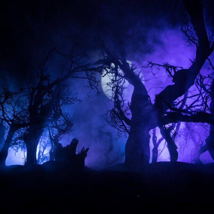 How do you pronounce the word Samhain? - zef art