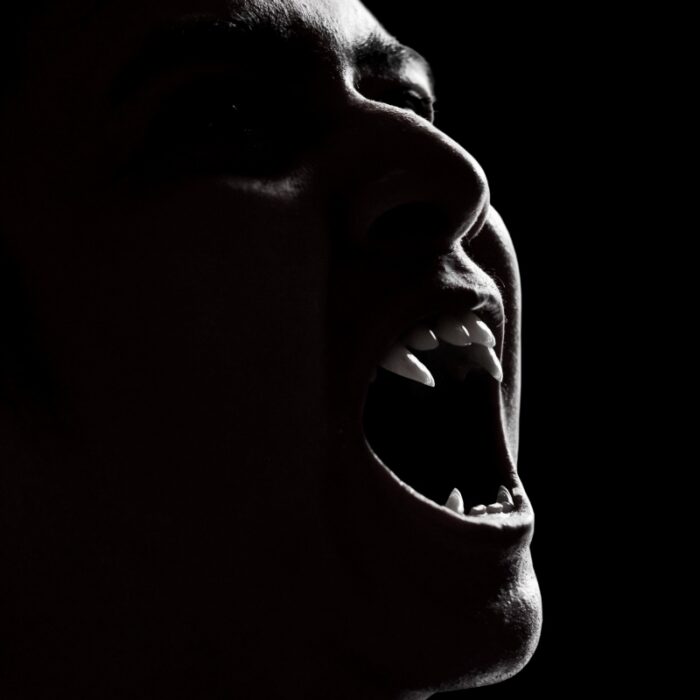 Dracula, de Bram Stoker -  fotokitas