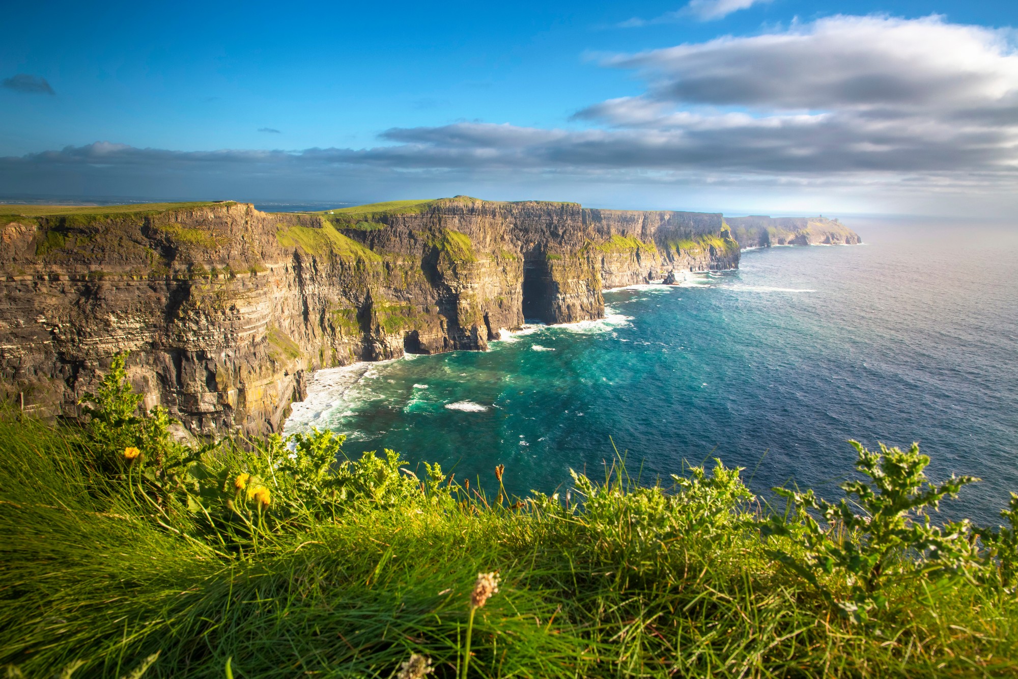 The Cliffs of Moher - © Elena Schweitzer  