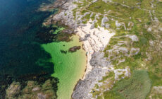 Coral Strand - © lisandrotrarbach