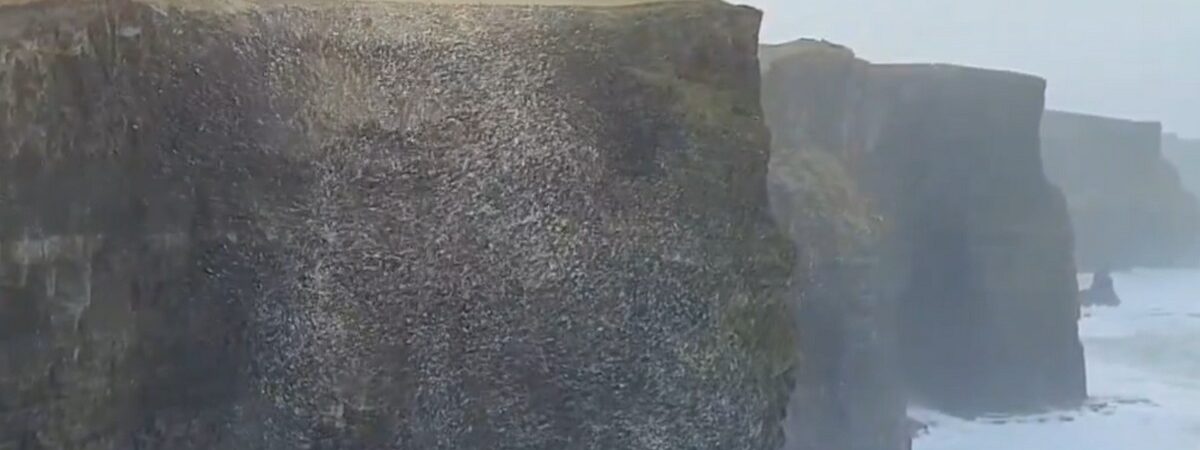 A giant ball of foam and snow floated on the Cliffs of Moher - @cormac_mcginley (X / Twitter)