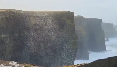 A giant ball of foam and snow floated on the Cliffs of Moher - @cormac_mcginley (X / Twitter)