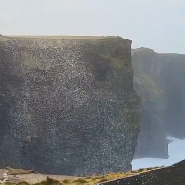 A giant ball of foam and snow floated on the Cliffs of Moher - @cormac_mcginley (X / Twitter)