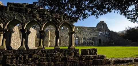 cong abbey 3