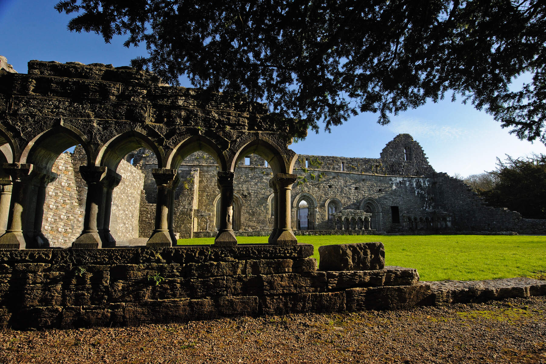 Cong Abbey -  ©Sean Tomkins