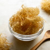 The Irish sea moss - © Inga