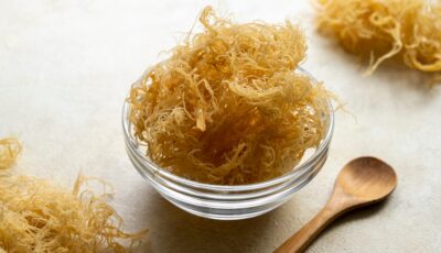 The Irish sea moss - © Inga