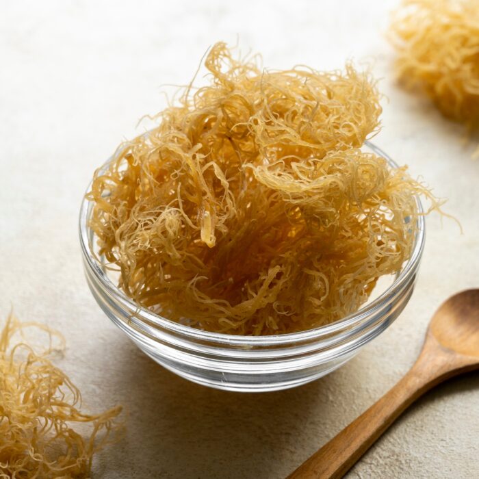 The Irish sea moss - © Inga