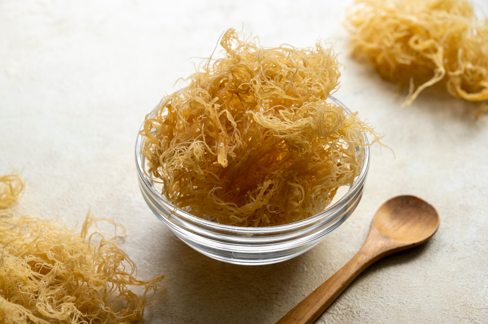 The Irish sea moss - © Inga  