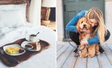 Pet sitting can get you free accommodation in Ireland