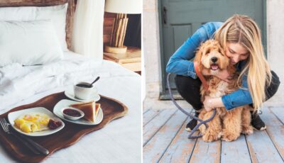 Pet sitting can get you free accommodation in Ireland