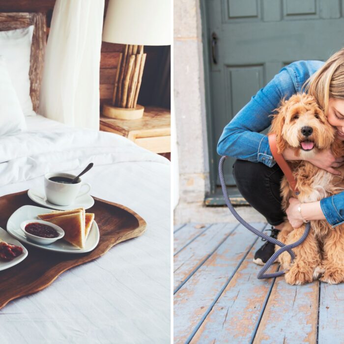 Pet sitting can get you free accommodation in Ireland