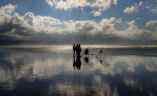 Inshore fishing in Ireland: experience a unique adventure! Failte Ireland