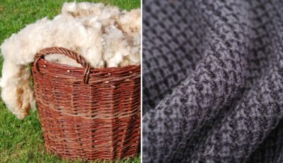 Pure Irish wool 2 Pure Irish wool - © Canva Pro