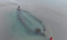 Wreck discovered on Portmarnock beach - National Monuments Service (NMS)